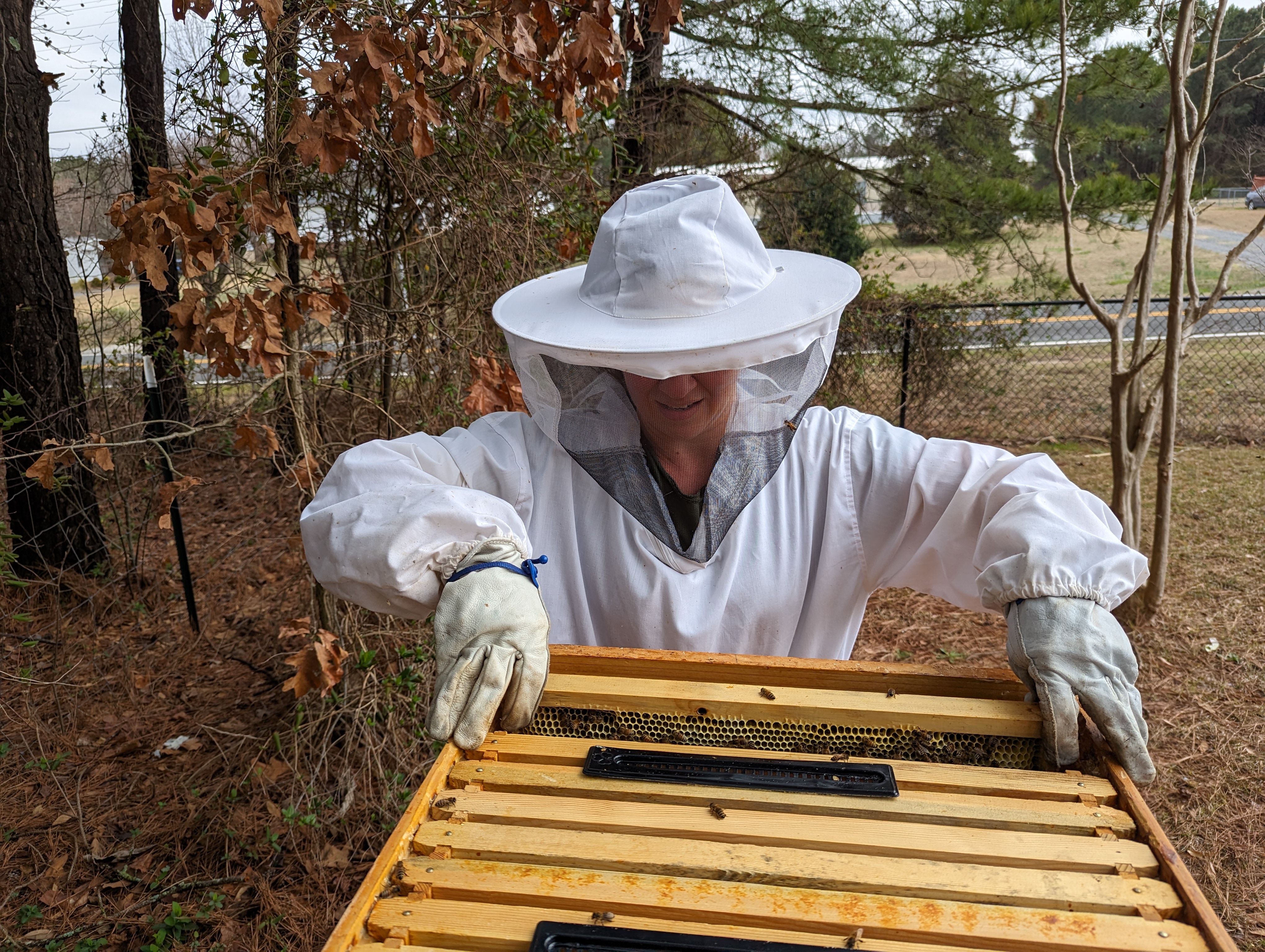 Beehive Update